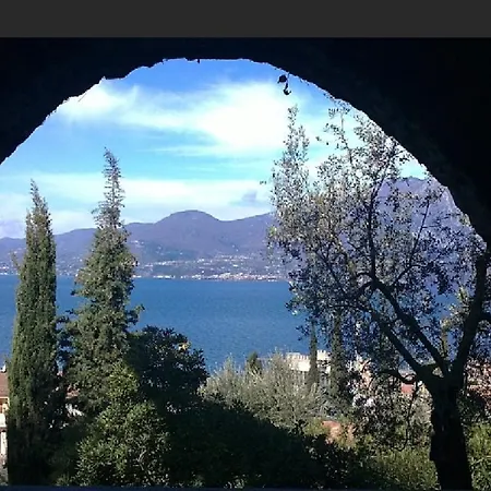 Olivi *